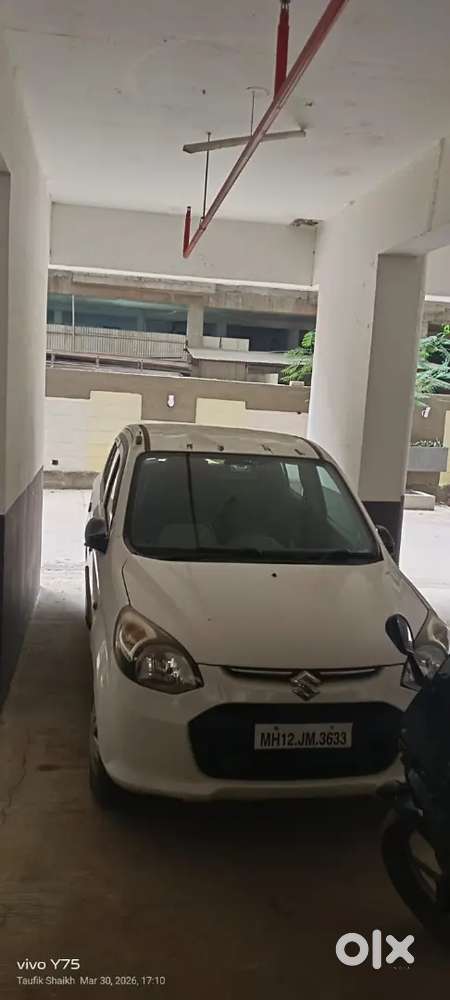 Alto 800 Urgent Sell