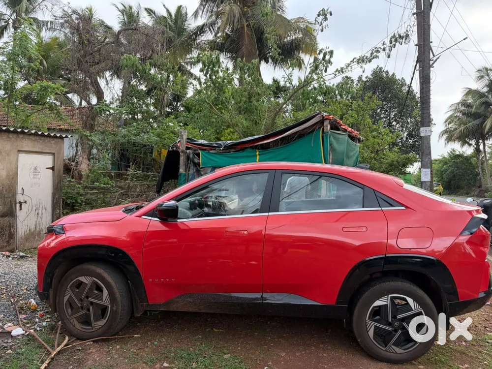 Tata Curvv 2024 Petrol Well Maintained