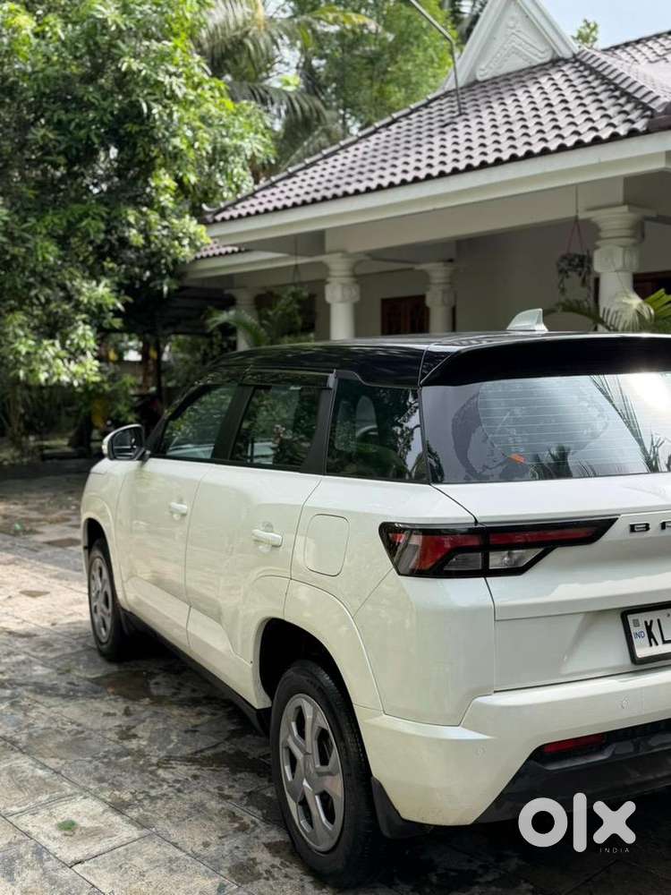 Maruti Suzuki 2023 Petrol