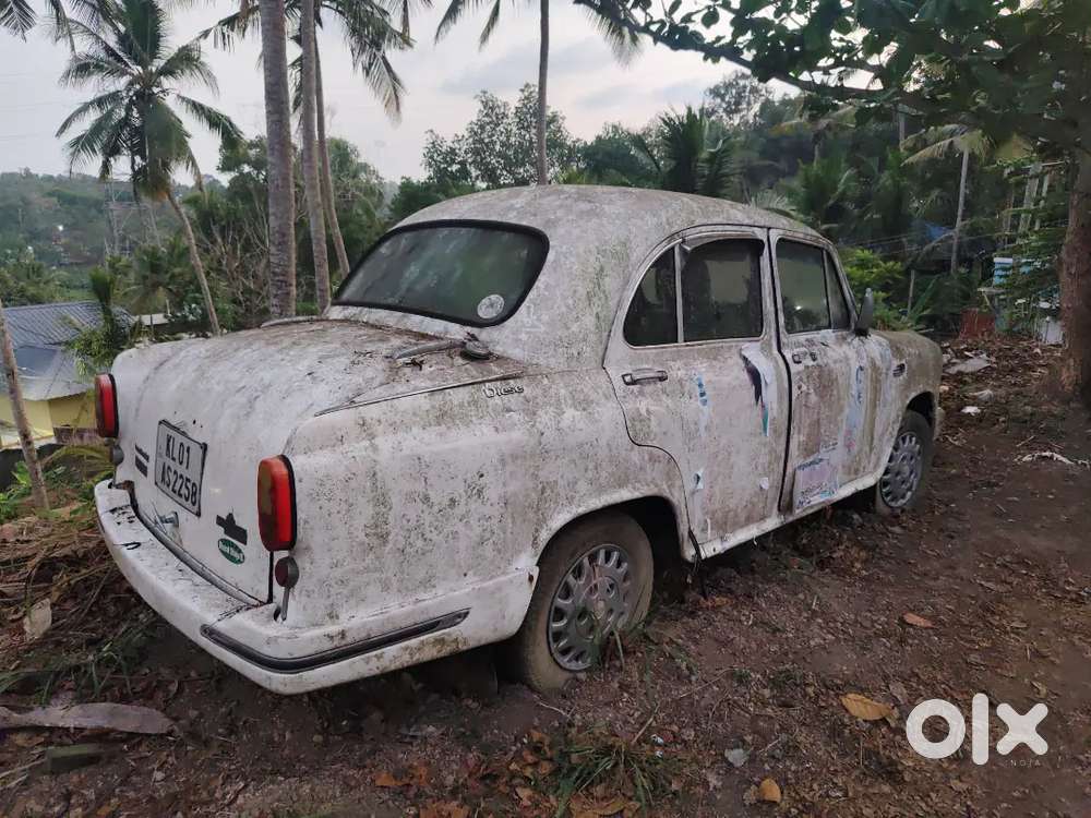 Ambassador Ambassador 1987