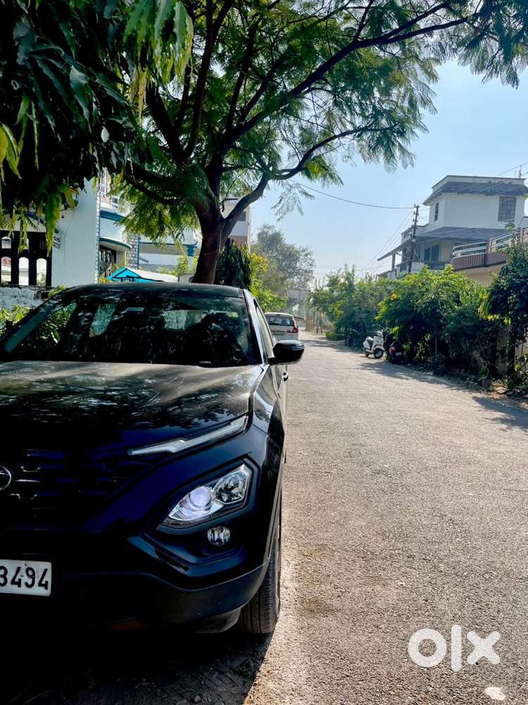 Less Driven . Top Model . Service Record Available