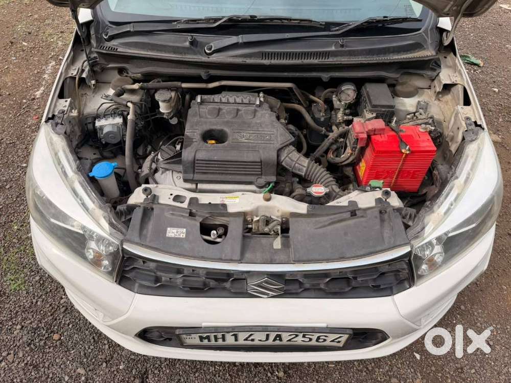 Maruti Suzuki Celerio Cng Vxi Optional, 2020, Cng & Hybrids