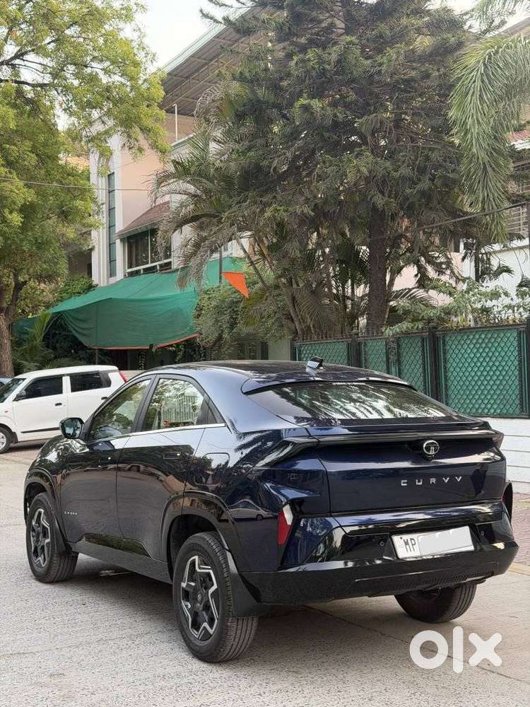 Tata Curvv Pure Plus 1.2 Revotron Petrol 7dca, 2025, Petrol