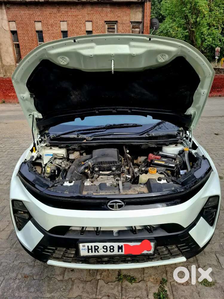 Nexon New Shape Nov 2023 Model Brand New Condition