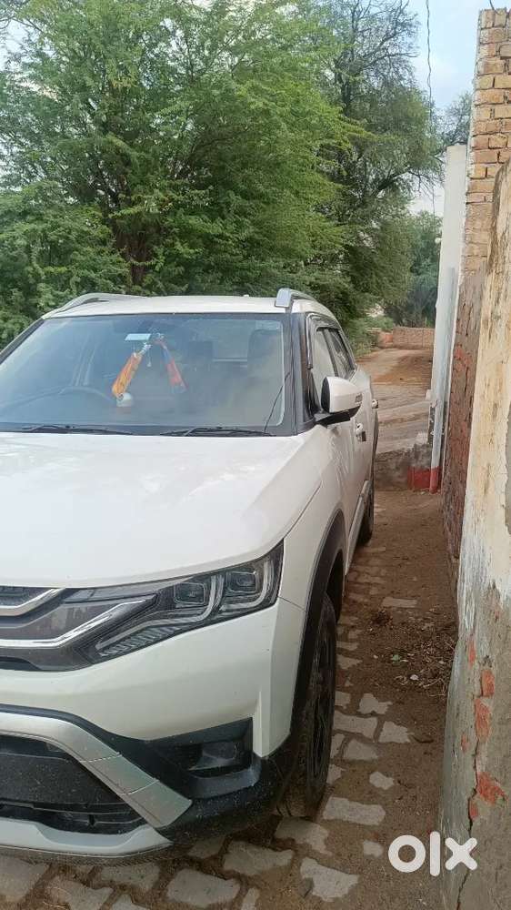 Maruti Suzuki Brezza 2022 Petrol 17186 Km Driven