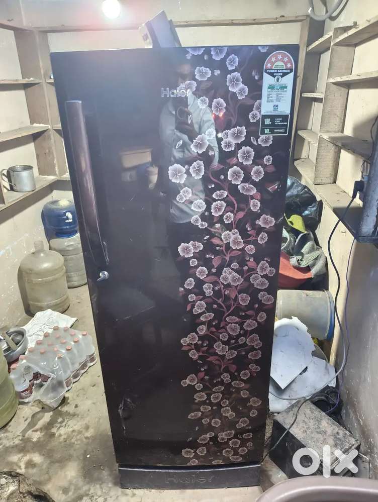 Haier 213L