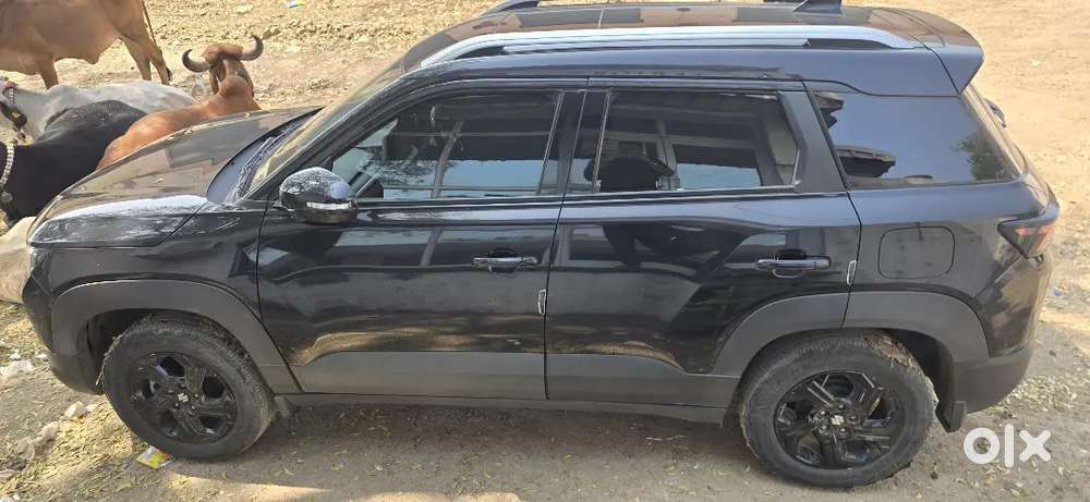 Maruti Suzuki Brezza 2025 Petrol&cng Well Maintained