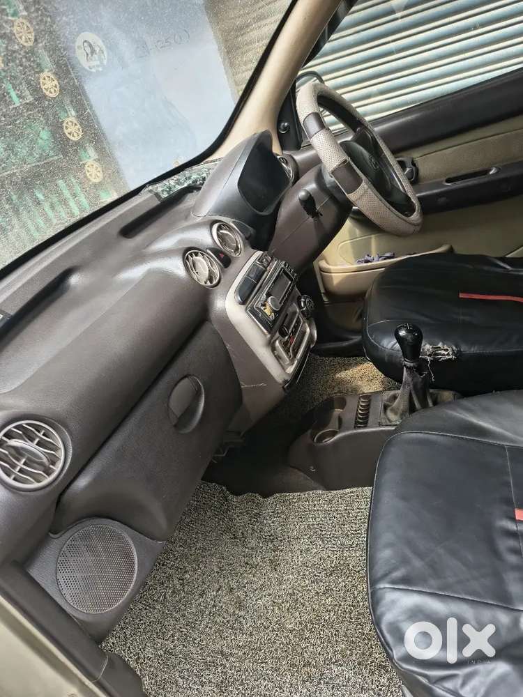 Hyundai Santro Xing 2010 Variant