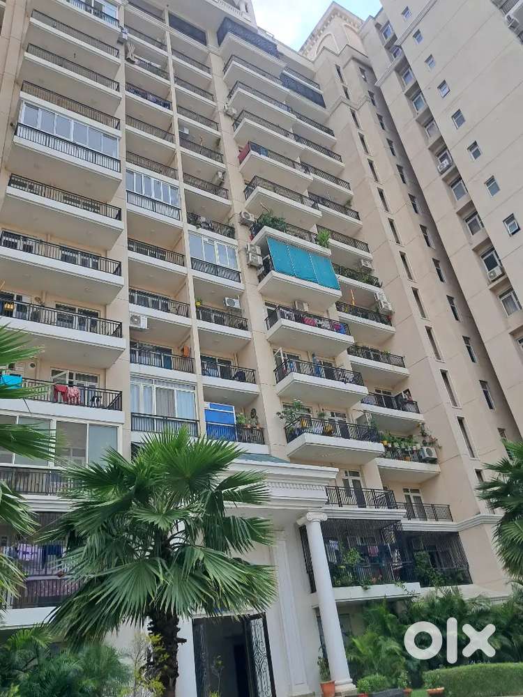 Flat for rent