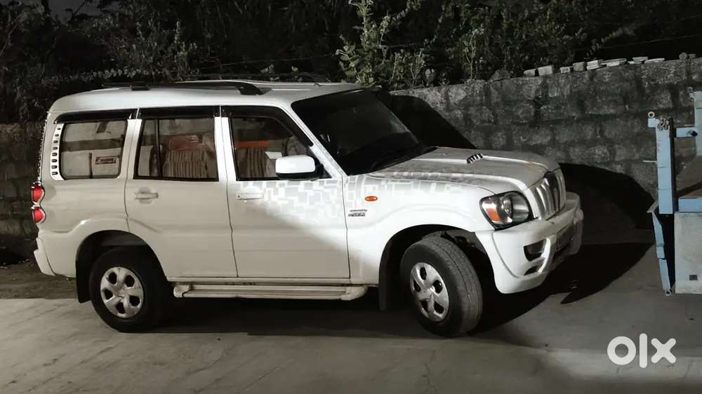 Morbi Uma Taauship Jova Madse