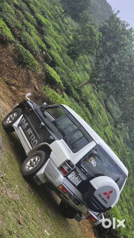 Mitsubishi Pajero 2010 Dual Tone