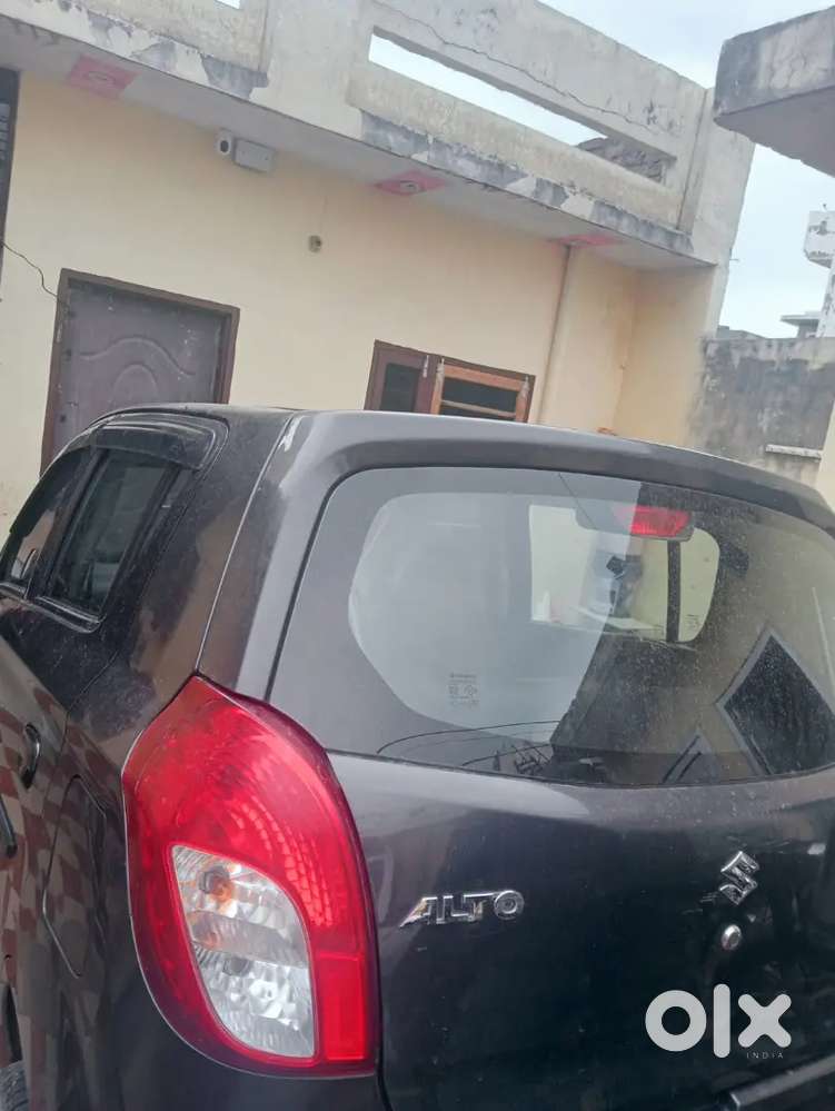 Bumper To Bumper Janeman Paint