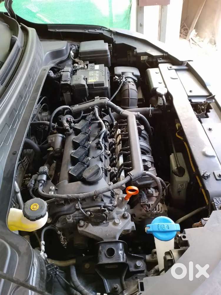 Kia Sonet 2024 Petrol Well Maintained