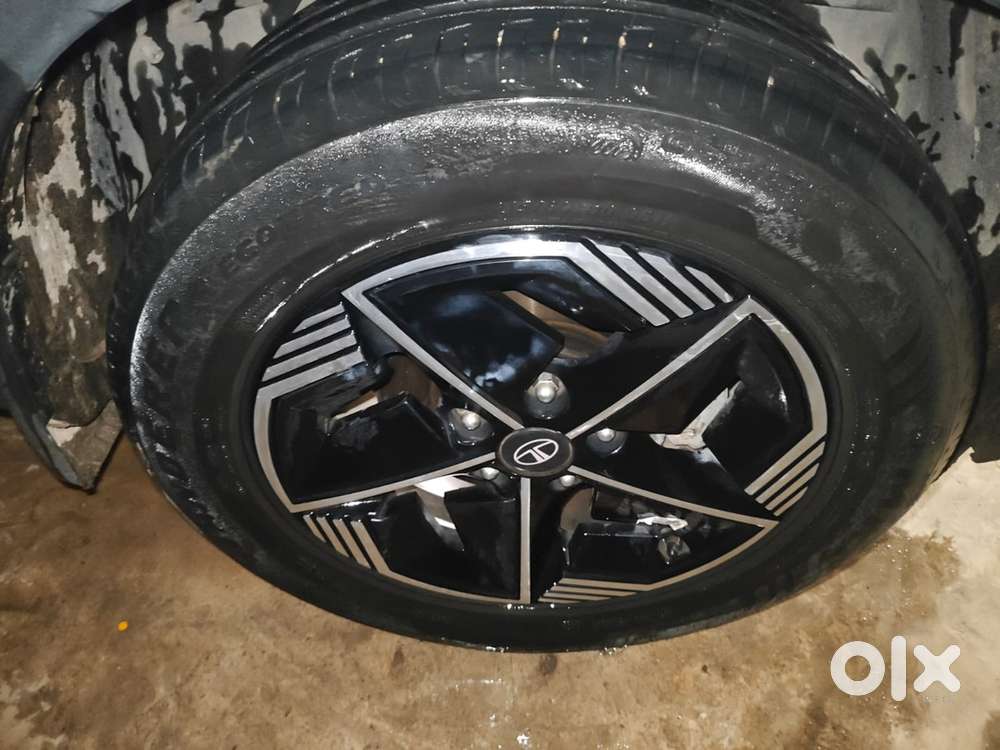 Tata Nexon Ev Fearless 2024