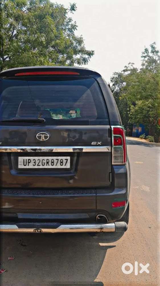 Safari Storme