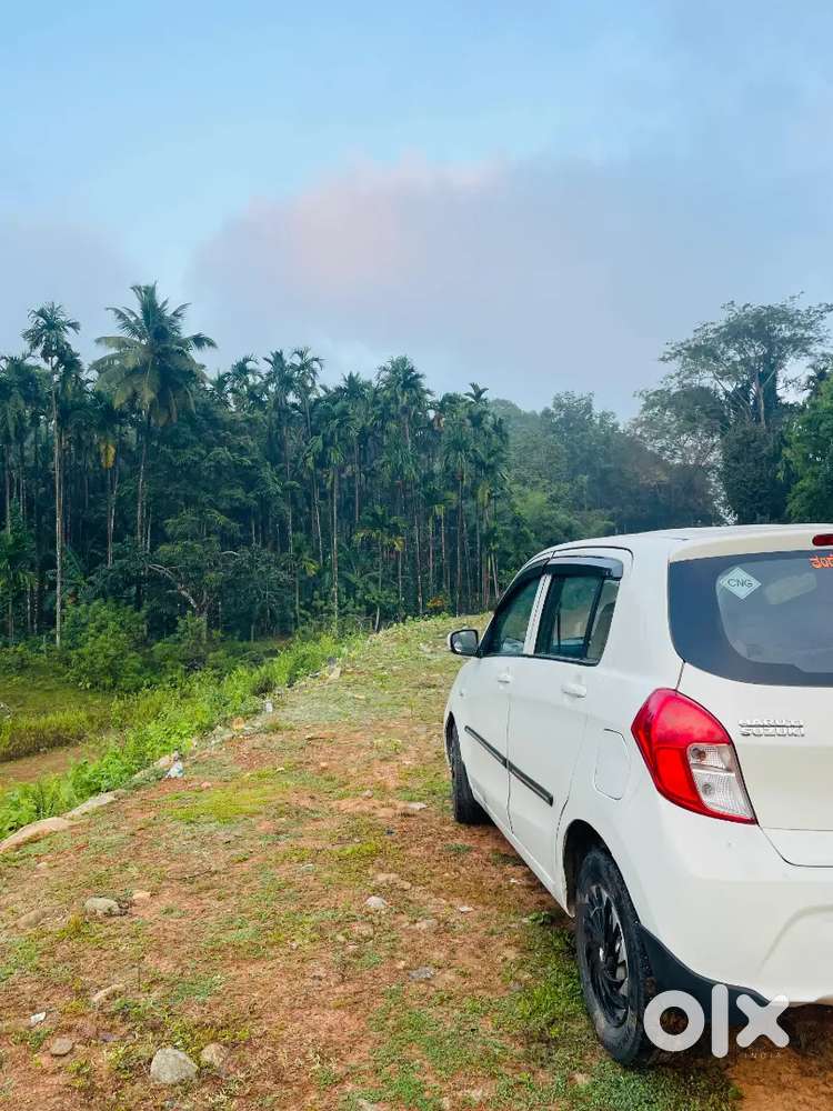Maruti Suzuki Celerio 2019