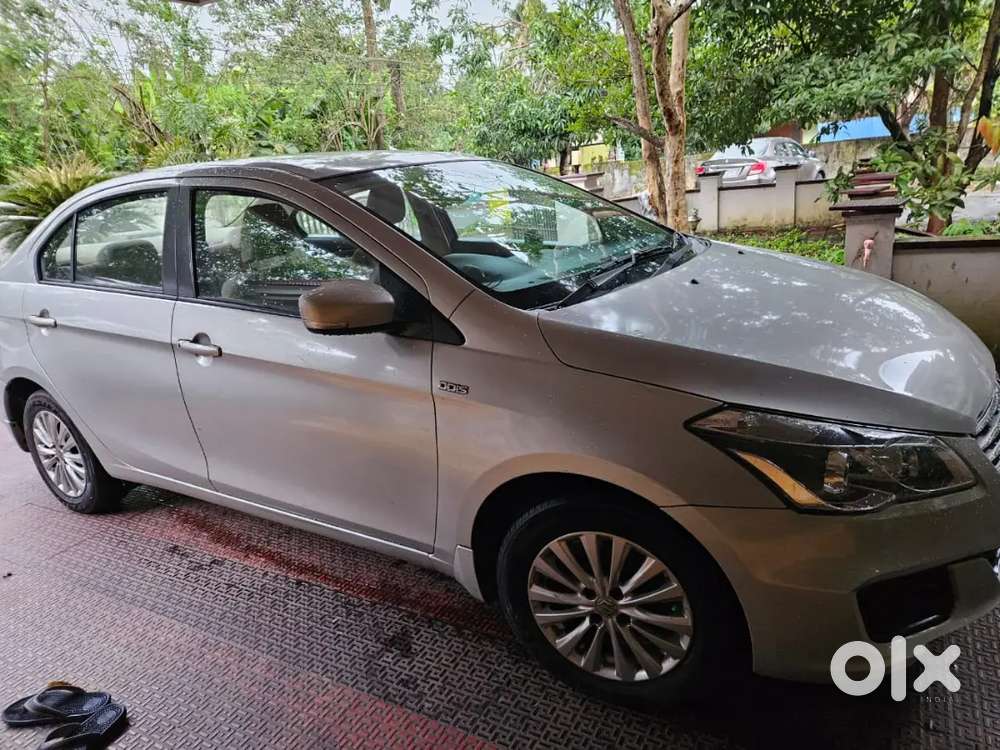 Maruti Suzuki Ciaz 2015 Year Model