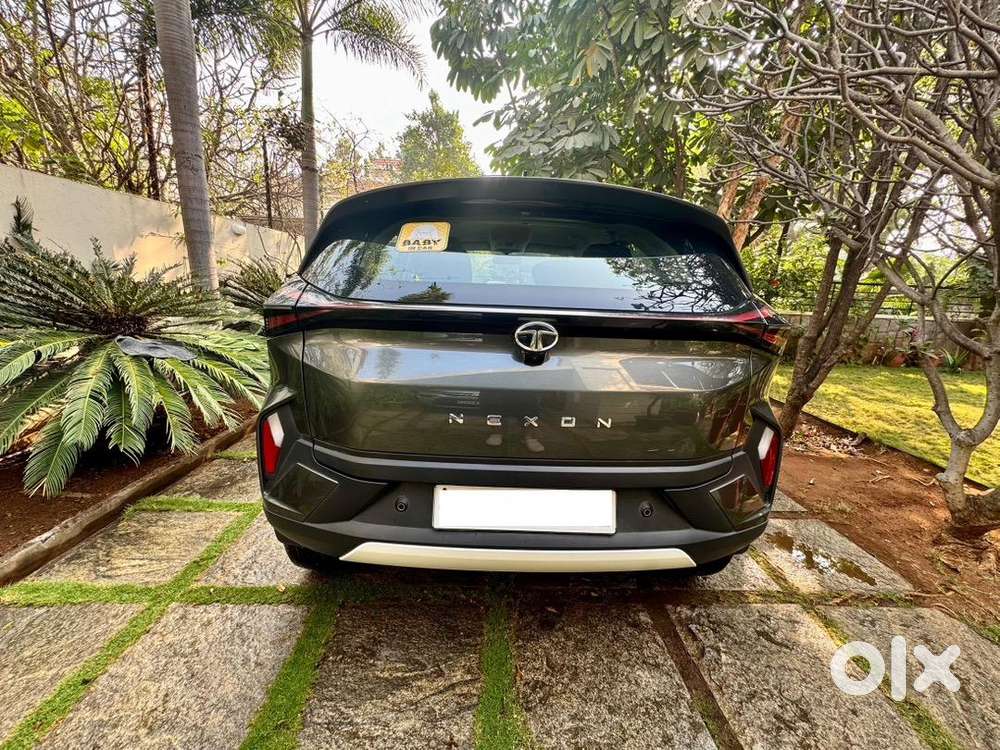 Tata Nexon Creative 2024 Petrol 24000 Km Driven