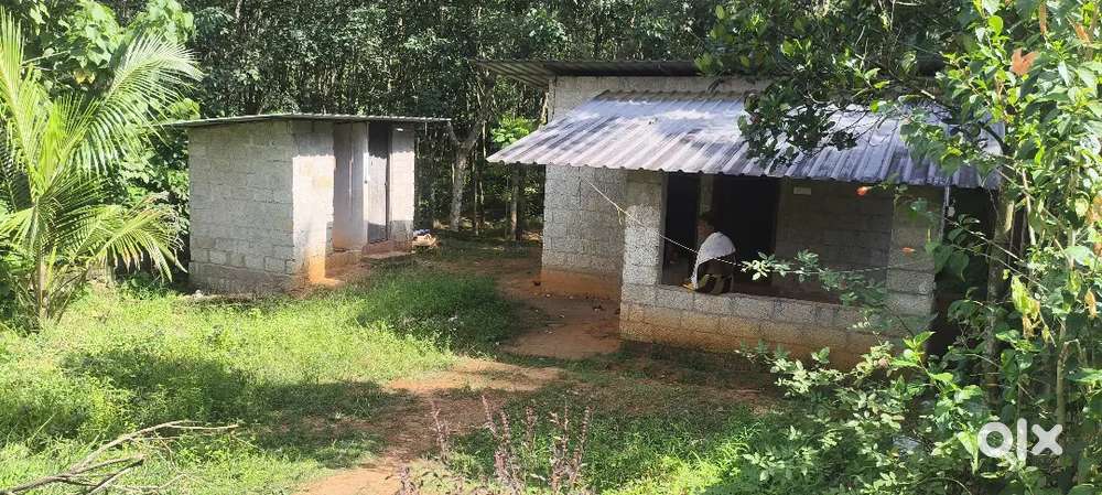 Rent a small house
