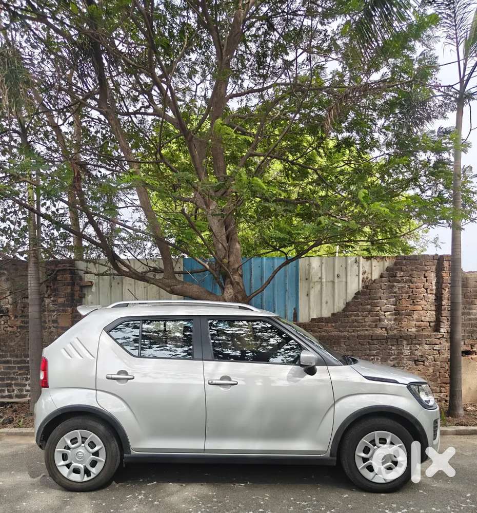 Maruti Suzuki Ignis Petrol 2025 Manual