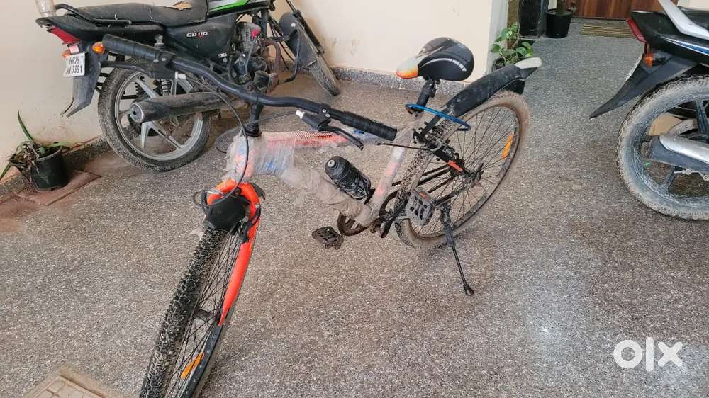 Brand New Cycle