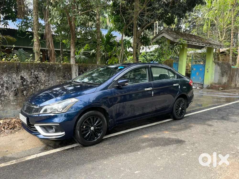 Rental Only