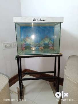 Olx aquarium best sale