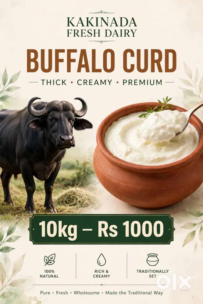 Buffalo  curd// only for kakianda