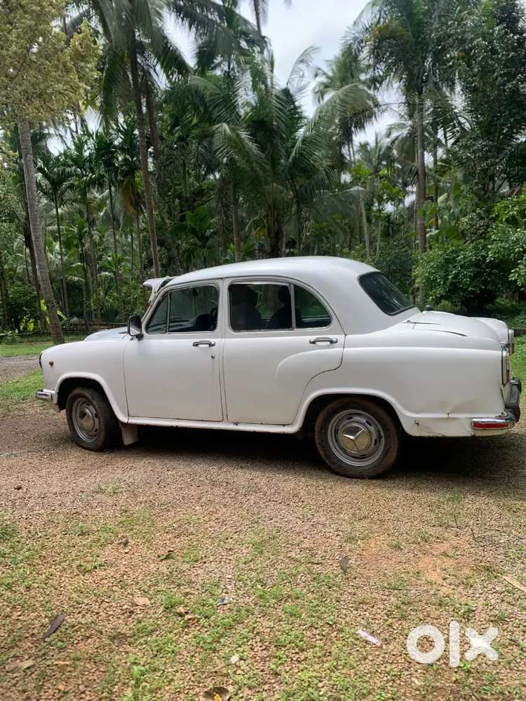 Tesla Model Y Lpg 2000