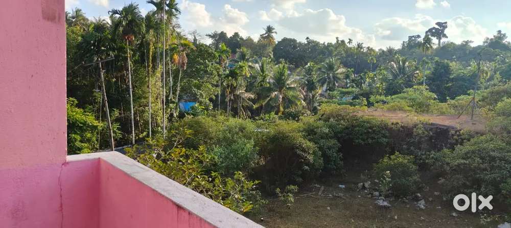 House for Sale – Well-Maintained Residential Property