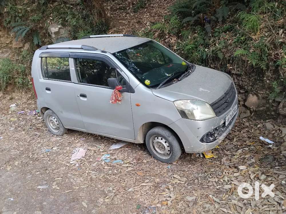 Maruti Suzuki Wagon R Flex Fuel 2010