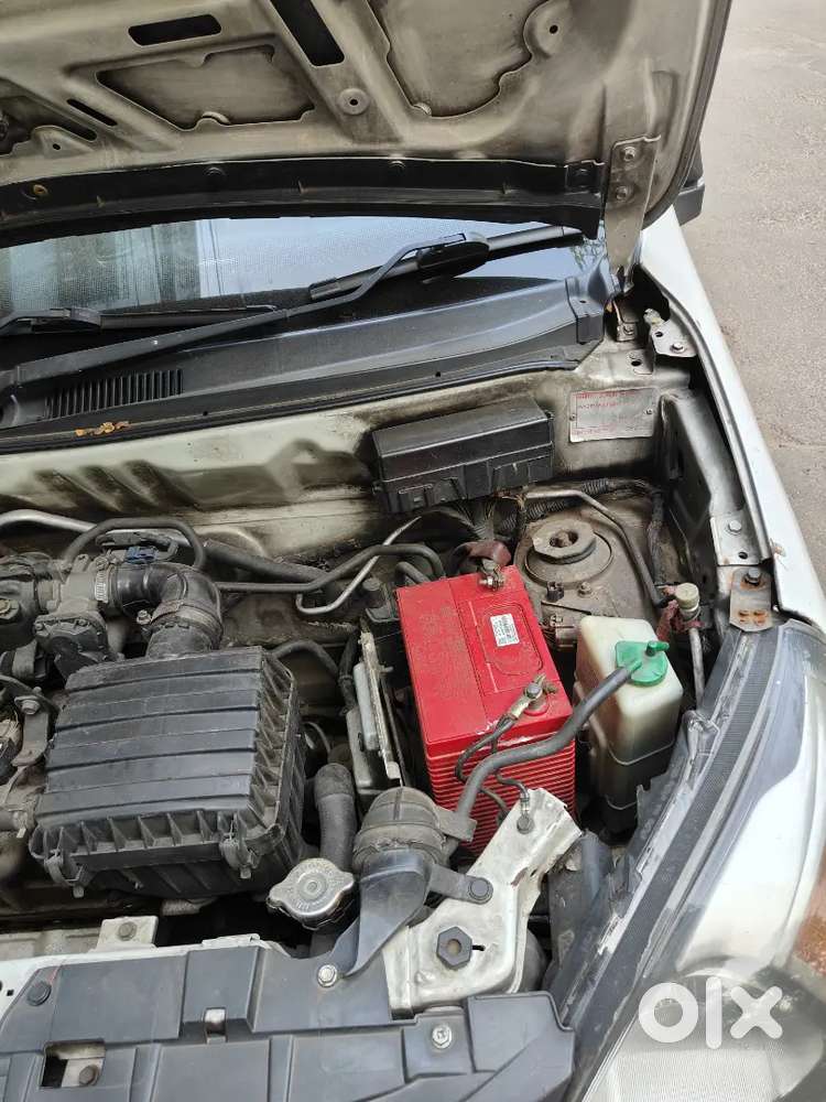 Alto 800 Car