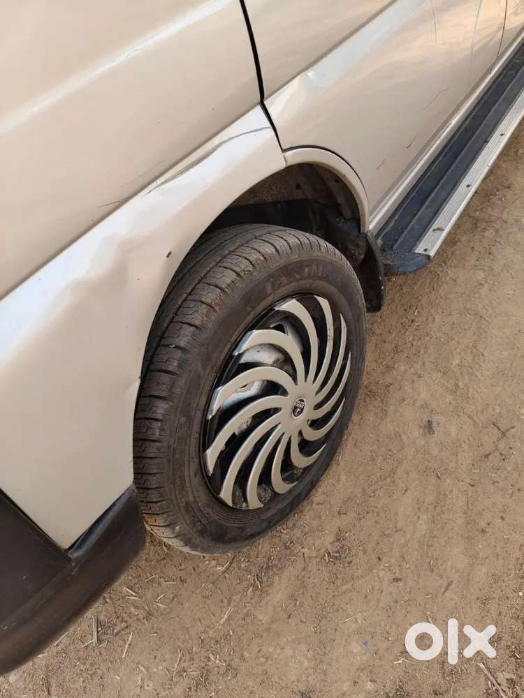 Fresh Candisan All Ok