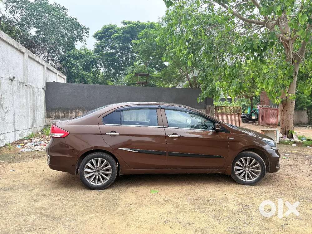 Maruti Suzuki Ciaz 2048
