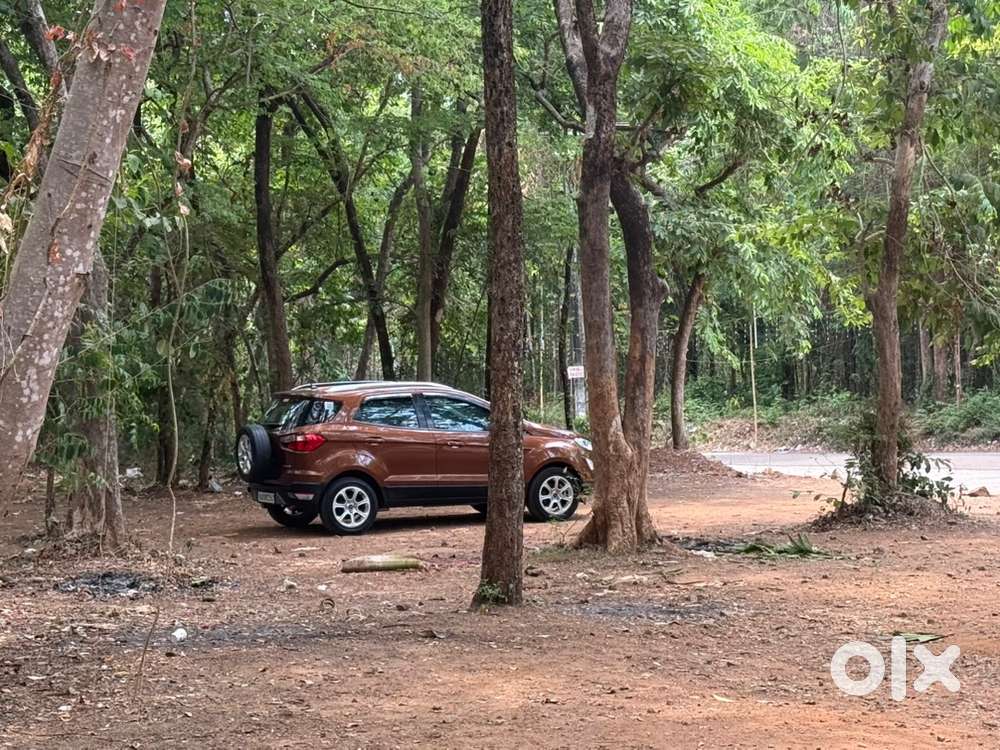 Ford Ecosport 2019 Petrol Variant