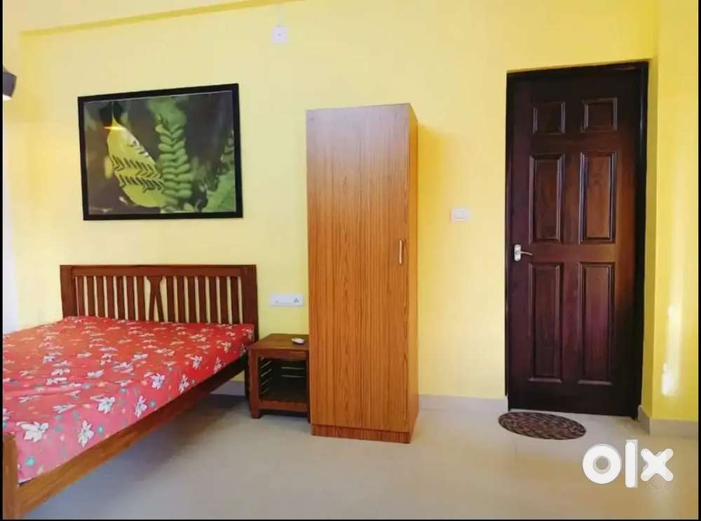 FAMILY: 2 BHK FULL FURNISHED AC APARTMENT RENT NEAR VALLATHOL KAKKANAD
