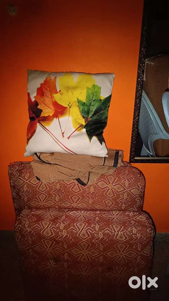 Sofa cushion