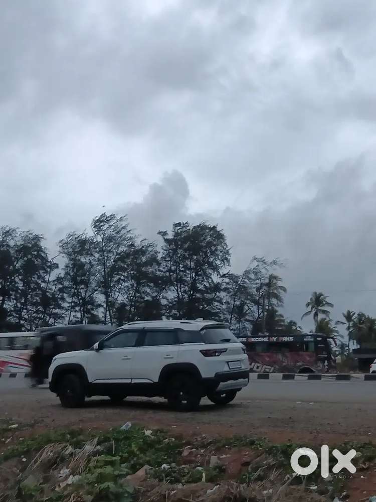 Maruti Suzuki Brezza 203 Hybrid