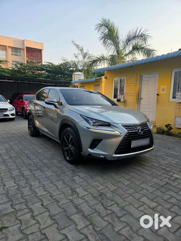Lexus Nx Lexus-nx-300h-luxury, 2019, Petrol