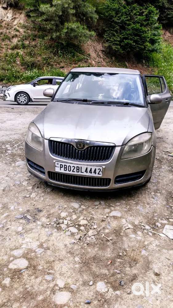 Skoda Fabia 2010 Petrol 47000 Km Driven