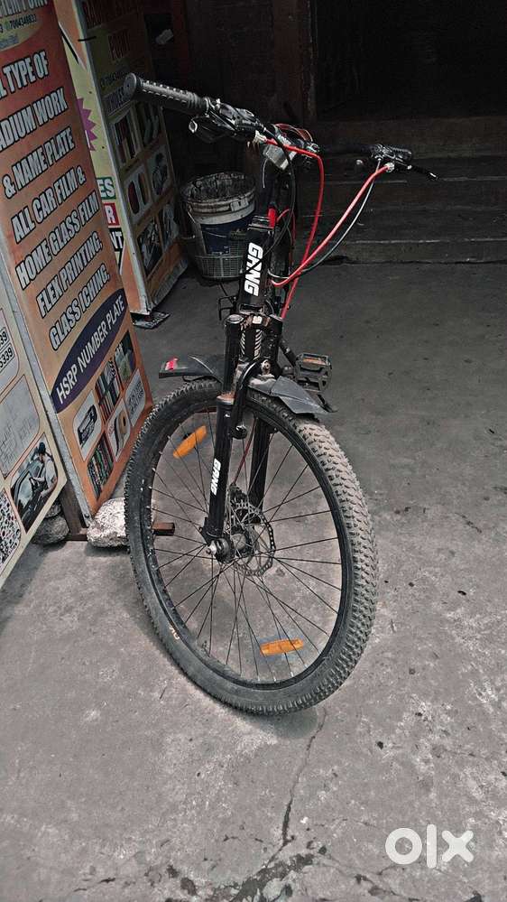The Gang Striker cycle stands out with its bold design and energetic a ...
