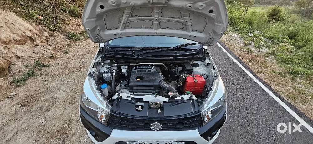 Z Suzuki Celerio X 2019 Petrol 32000 Km Driven