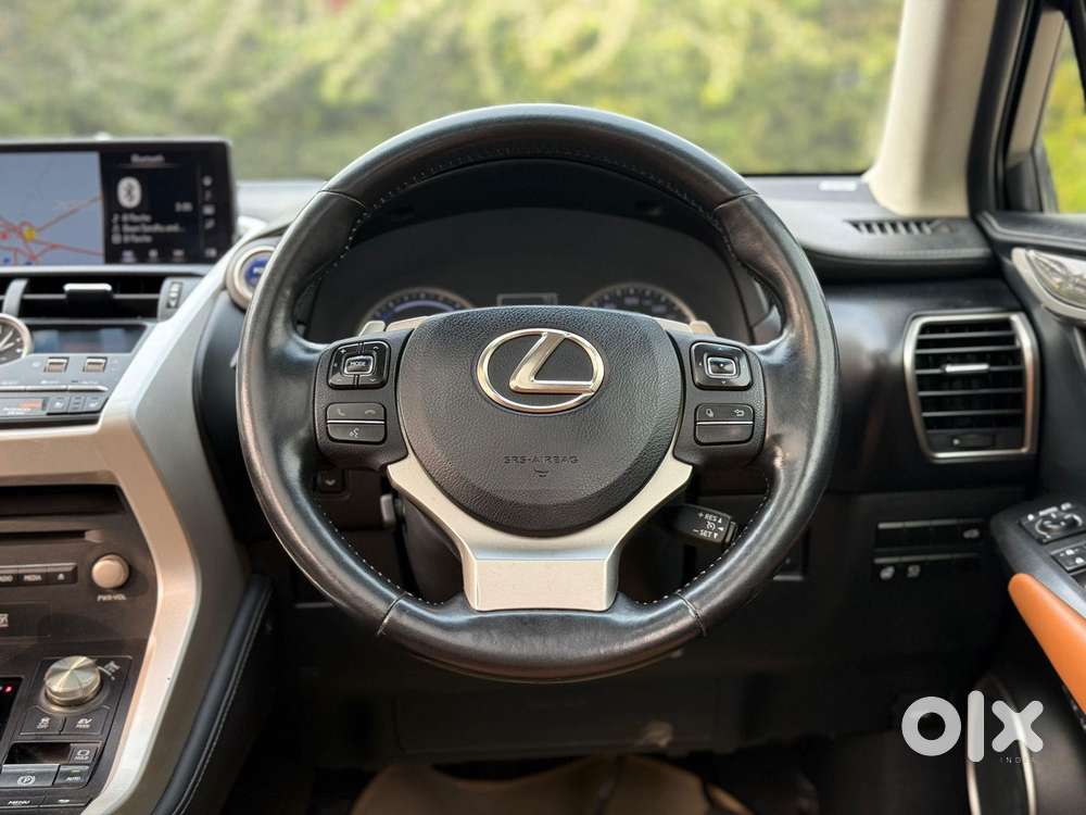 Lexus Nx Lexus-nx-300h-luxury, 2019, Petrol
