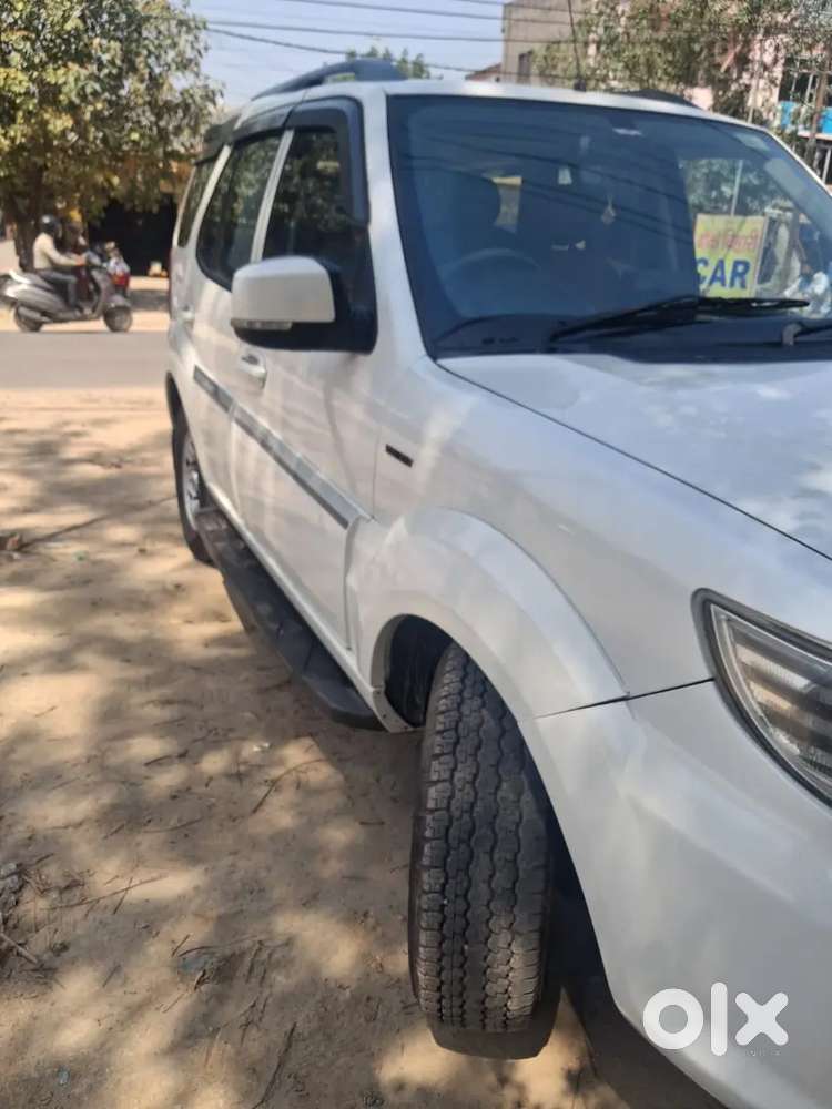 Safari Storme Frist Woner 2017 New Tayar Good