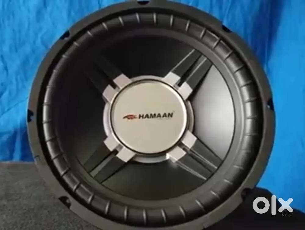 12 Inch Hamaan Woofer Pioneer Champion Series Powered Car