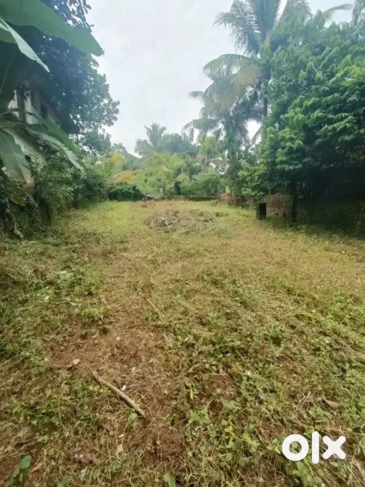 116 gj plot for sale in jujhar avenue
