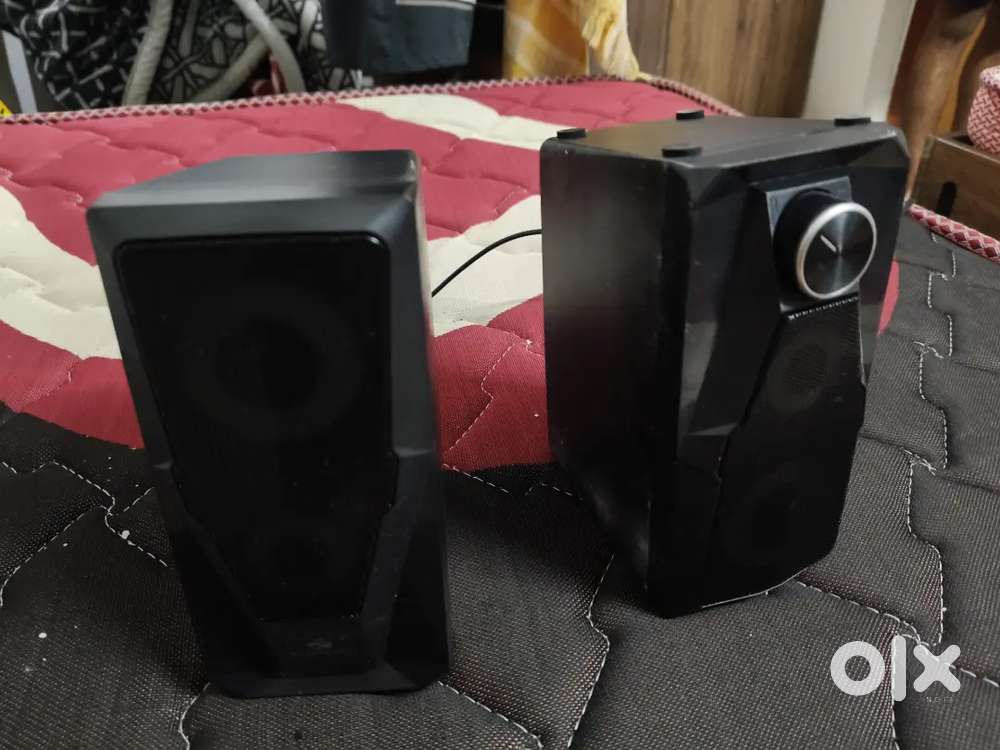 Zebronics speaker