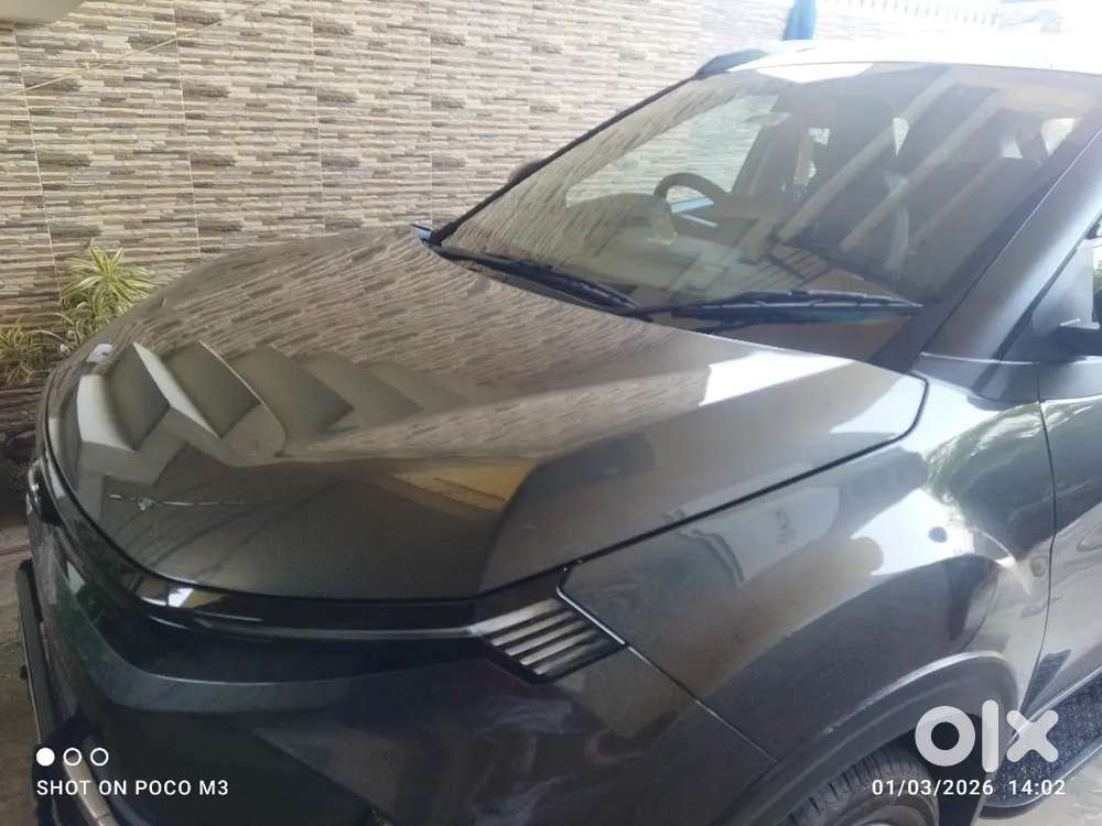 Tata Nexon 2025 Diesel Well Maintained