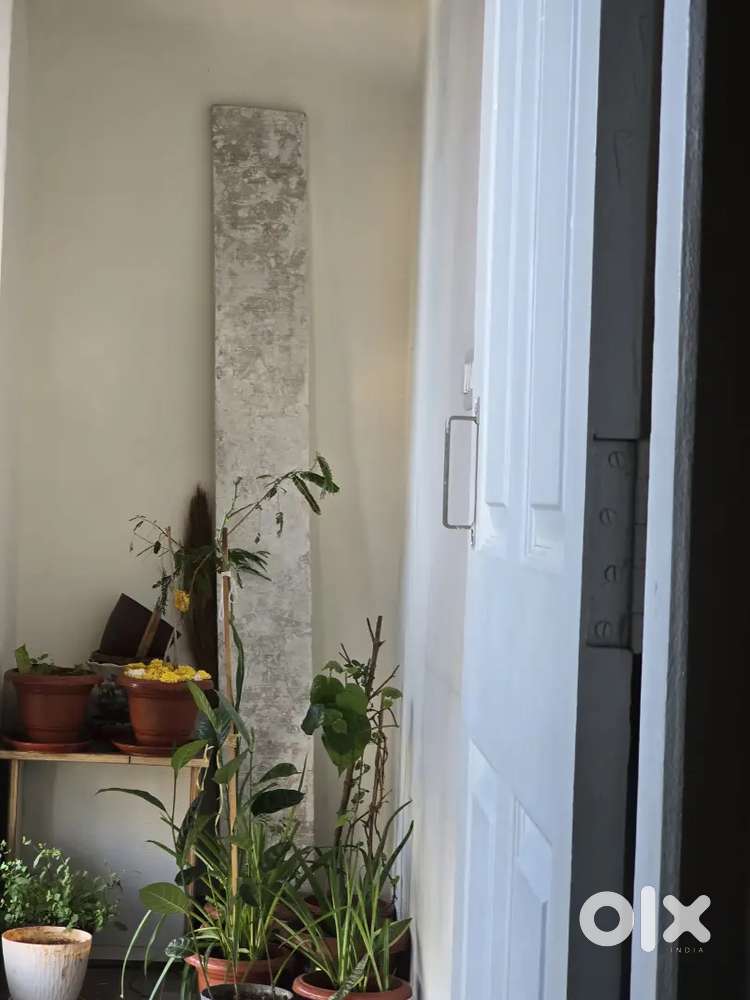 Painting, Putty, Cleaning Wood support