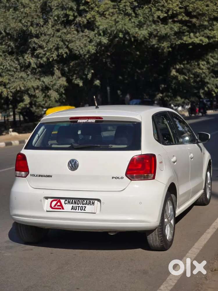 White Gloosy Coloured Polo